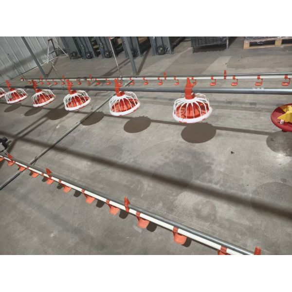 Durable High-Strength Plastic Slat Flooring with Corrosion-Resistant and Anti-Slip Surface for Chicken Coop