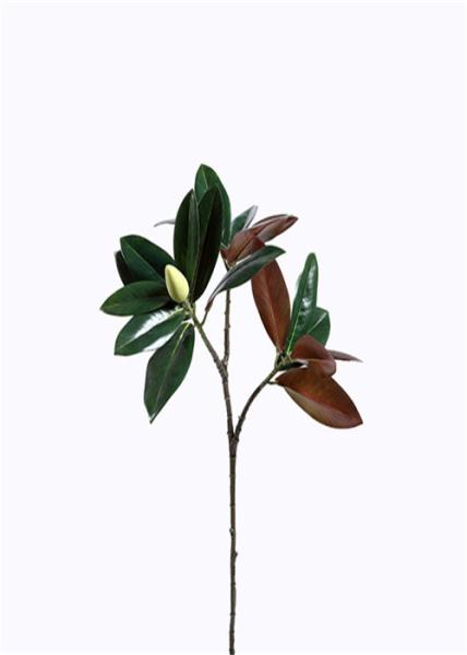 dos ramos artificiais das hastes de 90CM estrutura botanicamente exata amigável de Eco