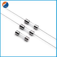 Type à retard de temps en verre de délai du fusible 5x20mm de Mini Slow Blow 500mA 250V