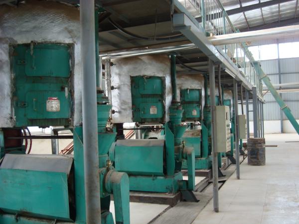 Sesame Castor Oil Expeller Machines Black Seed Oil Extraction Machine Cold Press
