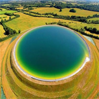 Geomembrana Hdpe resistente a produtos químicos para revestimento de lagoas de piscinas