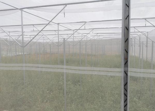 Strong Frame Metal Frame Greenhouse For Potted Flower Cultivation