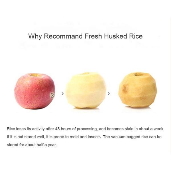 Commercial 30kg/h fresh rice miller germ brown rice husker small rice hulling milling machine