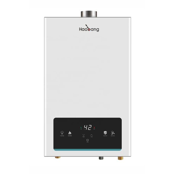 Wall-mounted Flue Gas Water Heater with Electric and Gas Power Touch Panel Control and 220V Voltage