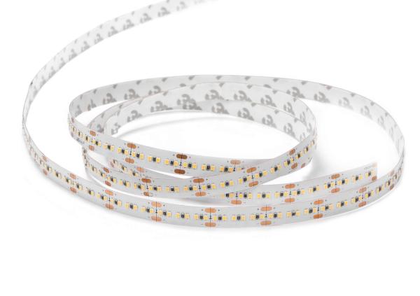 New 2110 SMD 240LED Flexible LED Strips Manufacturer Low power Single color Ultra Bright