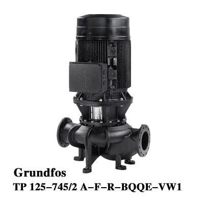 Grundfos TP 125-745/2 Booster Vertical in-Line Circulating Pump Multistage Centrifugal Pump