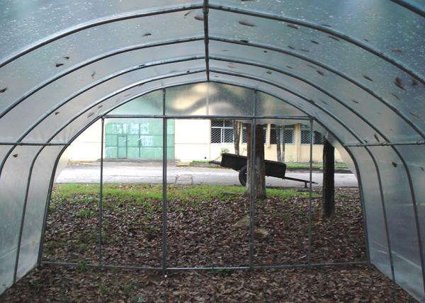 Easy Installation Poly Tunnel Gardening  For Vegetables / Flowers Growing Or Seeding