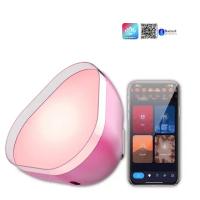 Carregamento USB Atmosfera Luzes LED RGBIC Bluetooth Personalizado