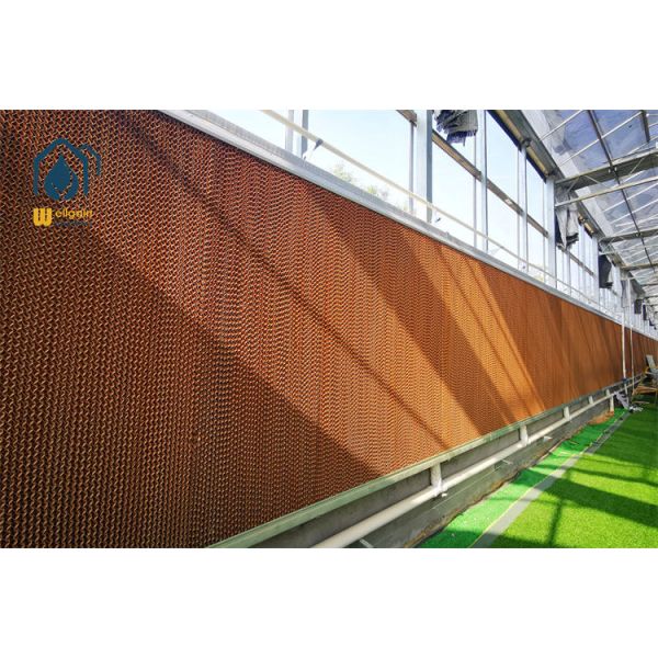 Smart Environmental Control Multi Span Greenhouse with Fogging and Circulation Fan System...