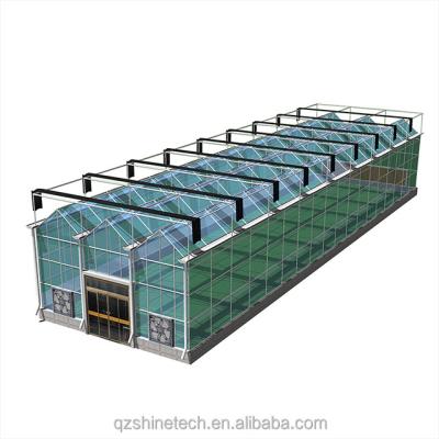 Estruturas de aço galvanizado, revestidas de vidro, estufa agrícola com desenho de instalação