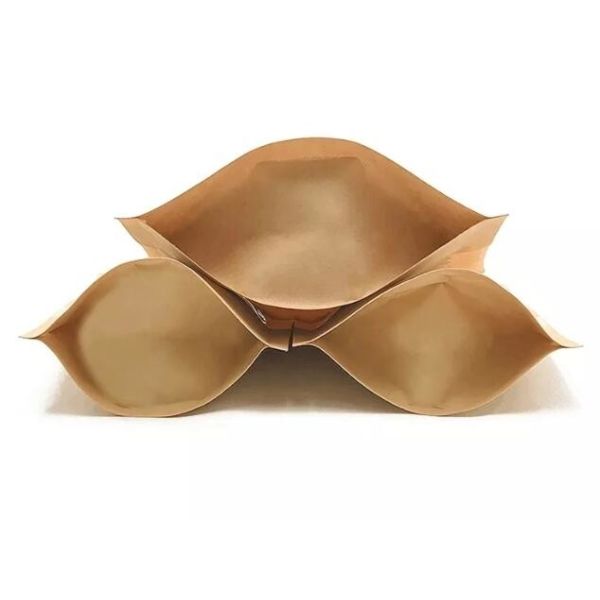 Kraft Paper Standing up Pouches Packaging Zipper Bag for Food