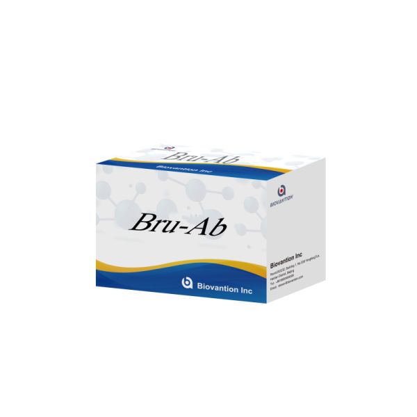 ELISA Animal Bru-Ab Elisa Reagent With 192t For Pigs Goats Cattle And Sheep