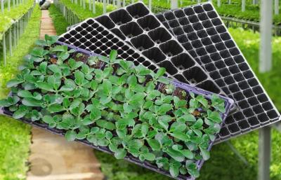 200 pilhas obstruem a semente que liga bandejas plásticas da germinação para a propagação de planta