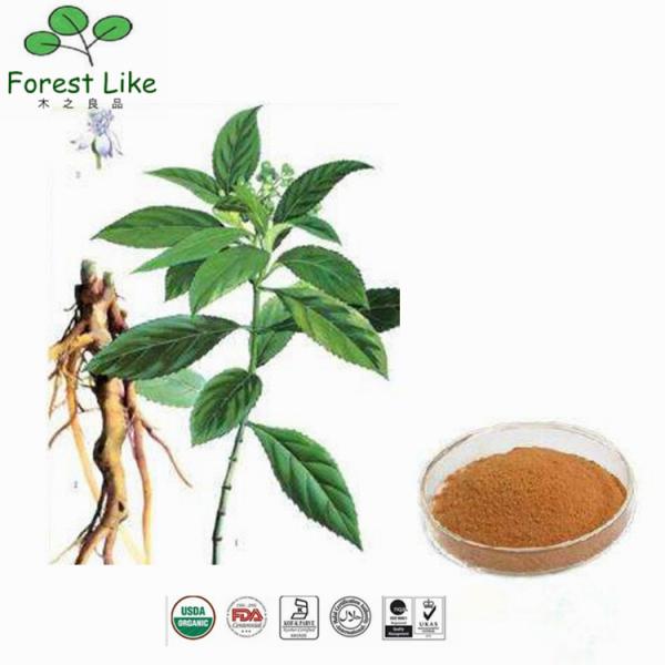 Superior Quality Featured Product 5%-98%Chlorogenic Acid Honeysuckle Flower Extract