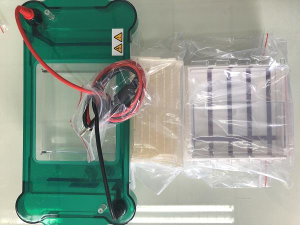 3/6/8/11 Sample Volume Agarose Gel Electrophoresis Equipment Science Lab Equipment  Jy-spct