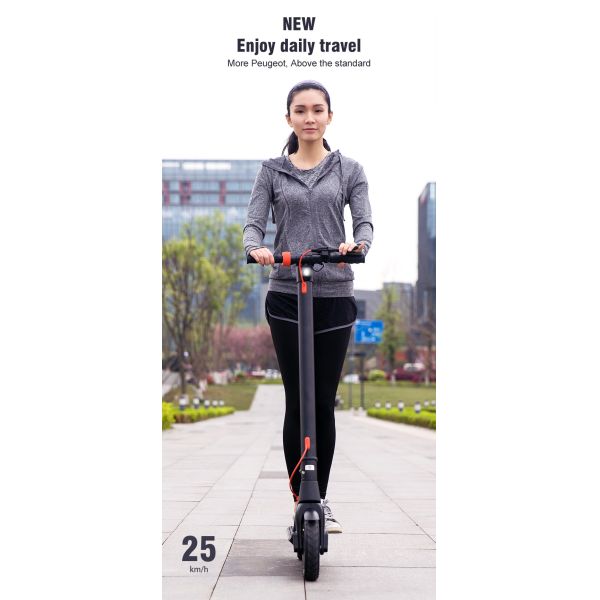 36V 250W Two Wheel Drive Electric Scooter 10 Inch Foldable Adult Electric Scooter