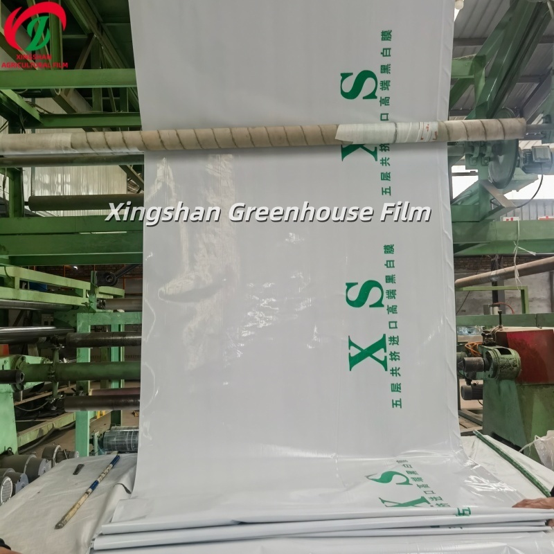 Light Blocking Agriculture Greenhouse Film Waterproof Greenhouse Blackout Plastic