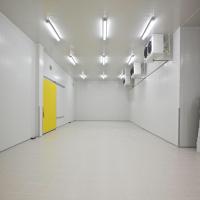 Sala de armazenamento frio nova para o refrigerador de ar vegetal da sala fria do beaf da batata da carne