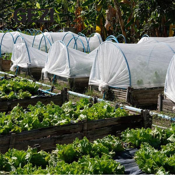 25 mesh 45g white transparent colored garden greenhouse plastic insect exclusion netting mesh for horticulture protectio