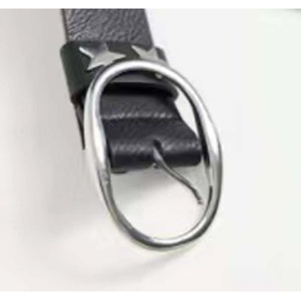 Oval Shape Womens Buckle Metal Accessories Mixed Colour For Belt Shoes Bag Garments