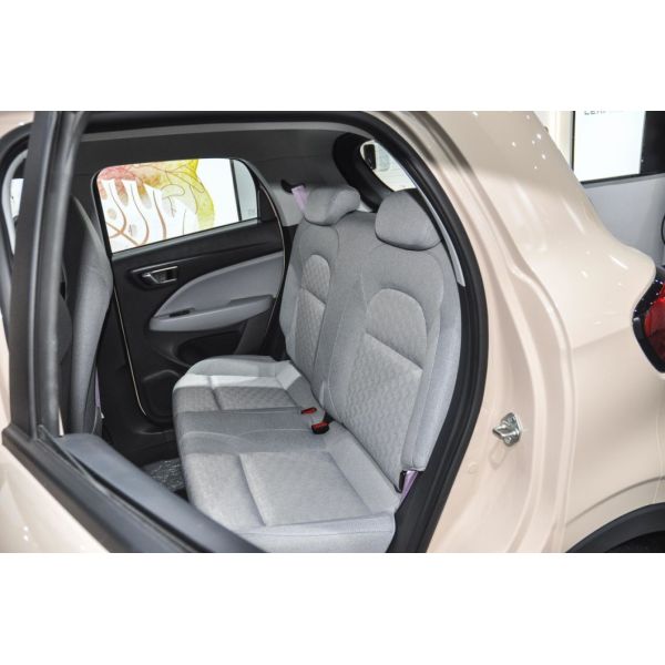 Closed Body Type and Seats for 5 2022 Leapmotor T03 Amber Edition