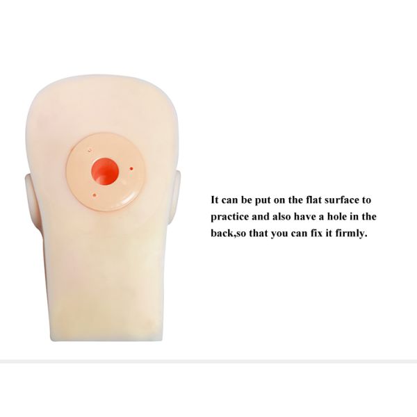 piel permanente de la práctica del tatuaje del maquillaje de la cabeza reutilizable del maniquí 5D