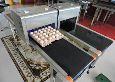 Small Character / Date Egg Jet Printer With USB Download Storage Messages