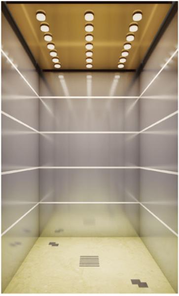 Stainless Steel Residential Passenger Elevator With Monarch Control System