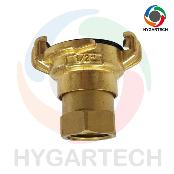 Forging Brass Swivel Claw-Lock Quick Hose Coupling FIP 1/2