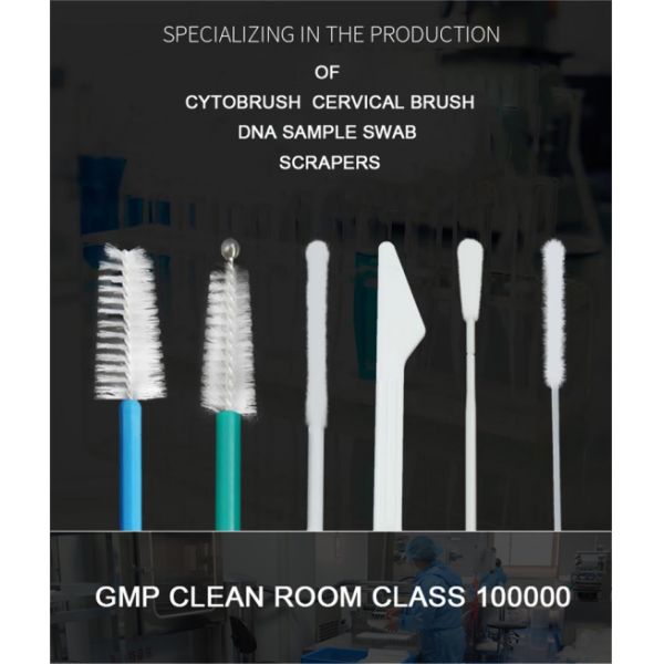 ISO13485 Disposable Endocervical Brush And Spatula