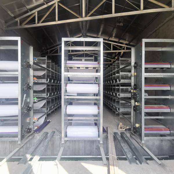 Equipamento de limpeza de casa de aves de várias camadas, sistema de gaiola de bateria de 1,2 mm 220 V