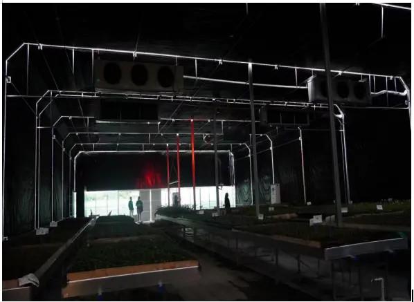 100% Blackout Agricultural Light Deprivation Greenhouses PE Film Cover