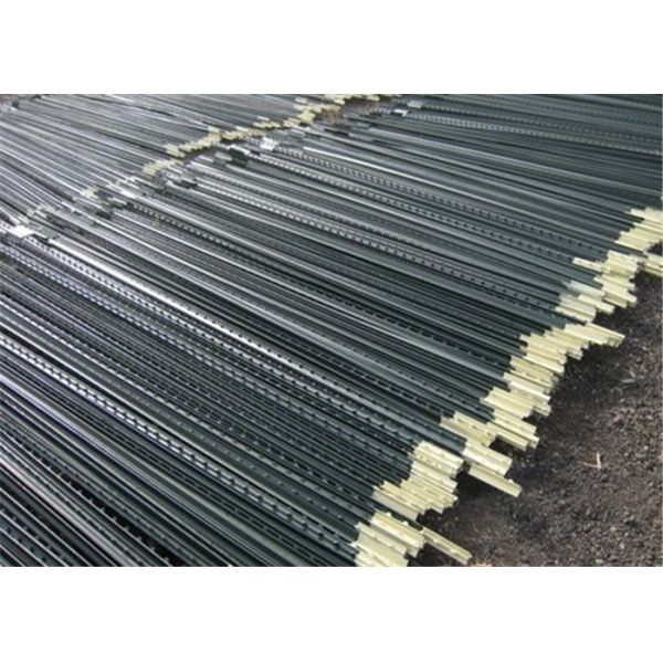 6 стальной обитой Ft краски загородки металла фермы столба t американской