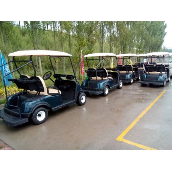 Left Hand Drive 2 Seats Electric Car Golf Cart With Deep Recycle Batteries