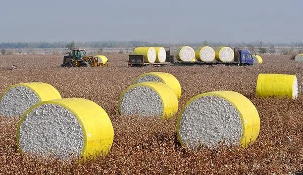 фильм обруча хлопка ширины 2210mm для длины хлопка автоматической жать подгонянной