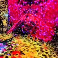 Projection immersive 3D pour l'intérieur