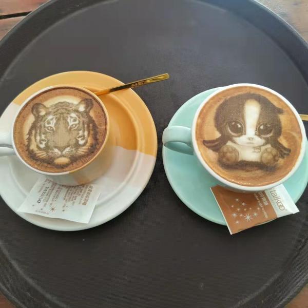 EVE-BOT 5-15s Máquina de impressão de café Impressora comestível 600DPI