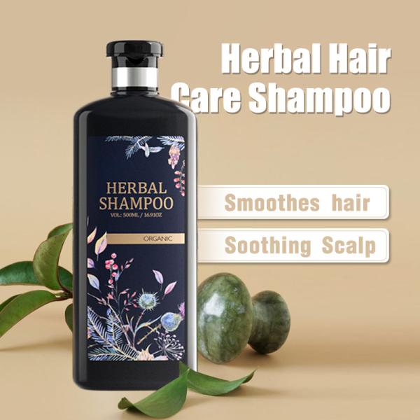 Anti Hair Loss Shampoo And Conditioner Argan Oil Anti Dandruff  Private Label
