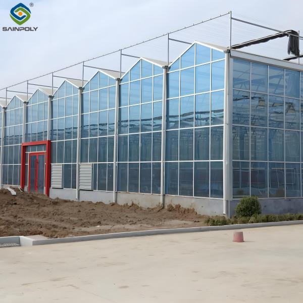 Modern Venlo Glass Greenhouse Plant Tomato Cucumbers High Wind Resistance