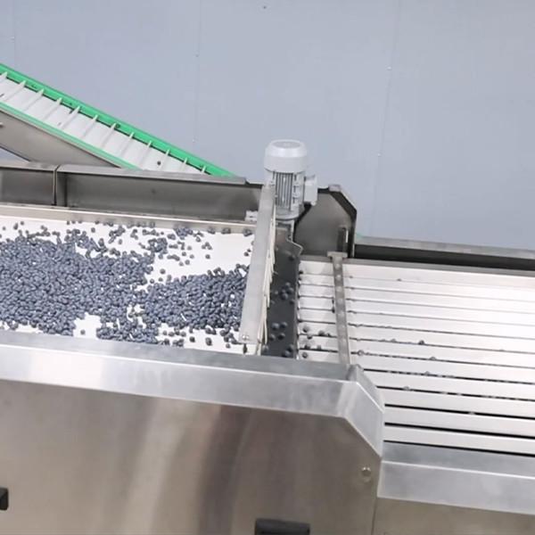 Système de commande PLC Machine de tri des myrtilles 380V 99,9% de précision