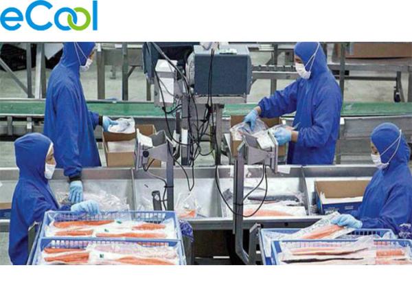 Super Low Temperature Frozen Food Cold Warehouse For Tuna Storage