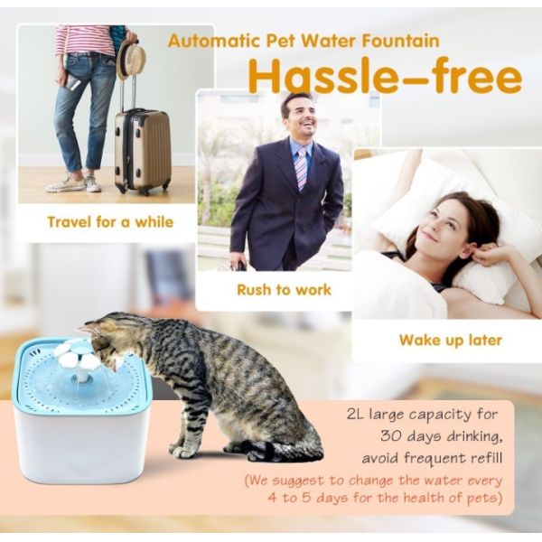 2L Automatic Pet Fountain Water Drinking Bowl BPA Free Eco Friendly