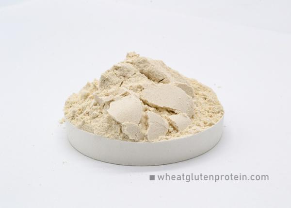 Insolúvel em água Glutina em pó de proteína de trigo vital seco 25 kg / saco