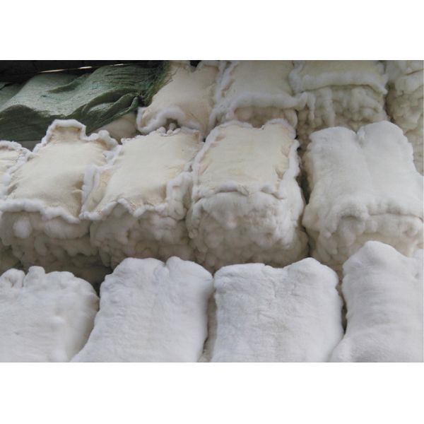 la piel del conejo de los 30*40cm Rex pela la suavidad caliente, piel de Rex de la chinchilla con color natural/teñido