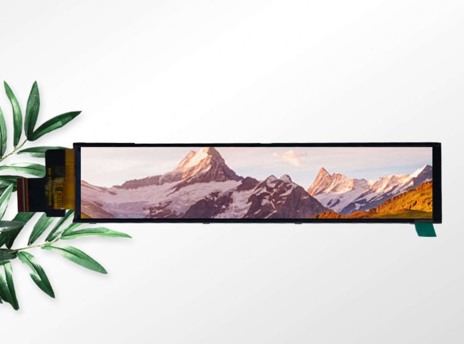 6.1 inch TFT LCD Module with 280RGBx1424 Resolution and MIPI Interface Driving IC ST7703I 12LEDS