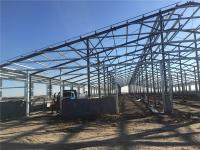 Q355B Prefabricated Steel Structure Building for Milk Processing Plant