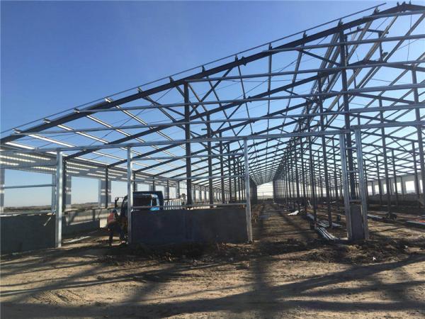 Q355B Prefabricated Steel Structure Building for Milk Processing Plant