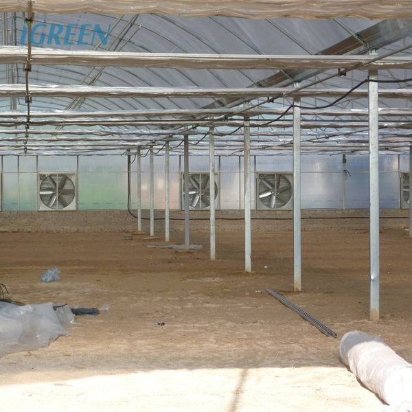 Kit de invernadero grande para huerto 30X100 con estructura metálica