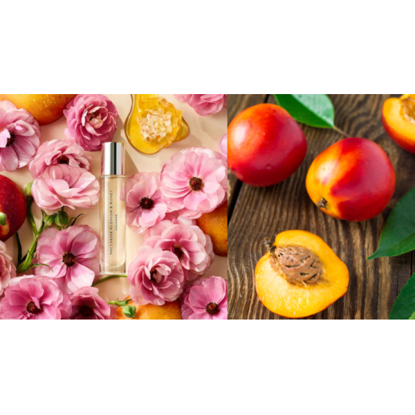 High Purity Nectarine Blossom & Honey Fragrance Oil for Soy Candle Making with 6-10% Dosage and 24 Months Shelf Life