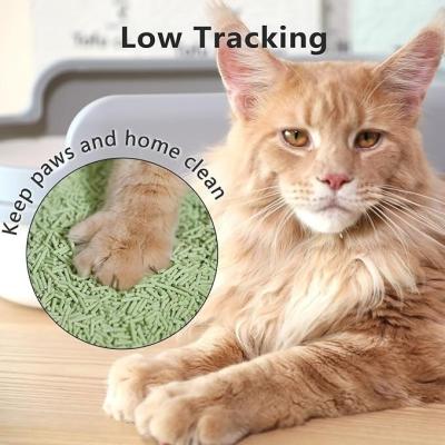 Litière pour chat à base de tofu dégradable au thé vert antiadhésif